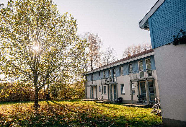 Die Sonne scheint durch einen belaubten Baum neben einem Wohnhaus des Komplexes 1 in der Fleischerwiese.