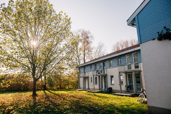 Die Sonne scheint durch einen belaubten Baum neben einem Wohnhaus des Komplexes 1 in der Fleischerwiese.