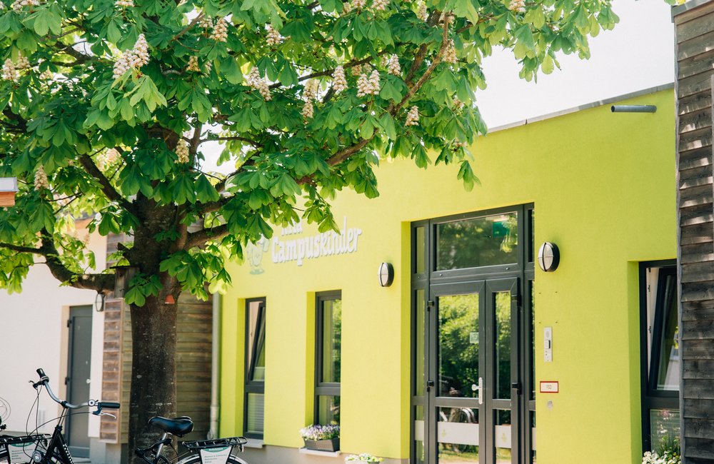 Vor dem grünen Haupteingang der Kita Campuskinder steht eine große, blühende Kastanie, an der ein Fahrrad lehnt.